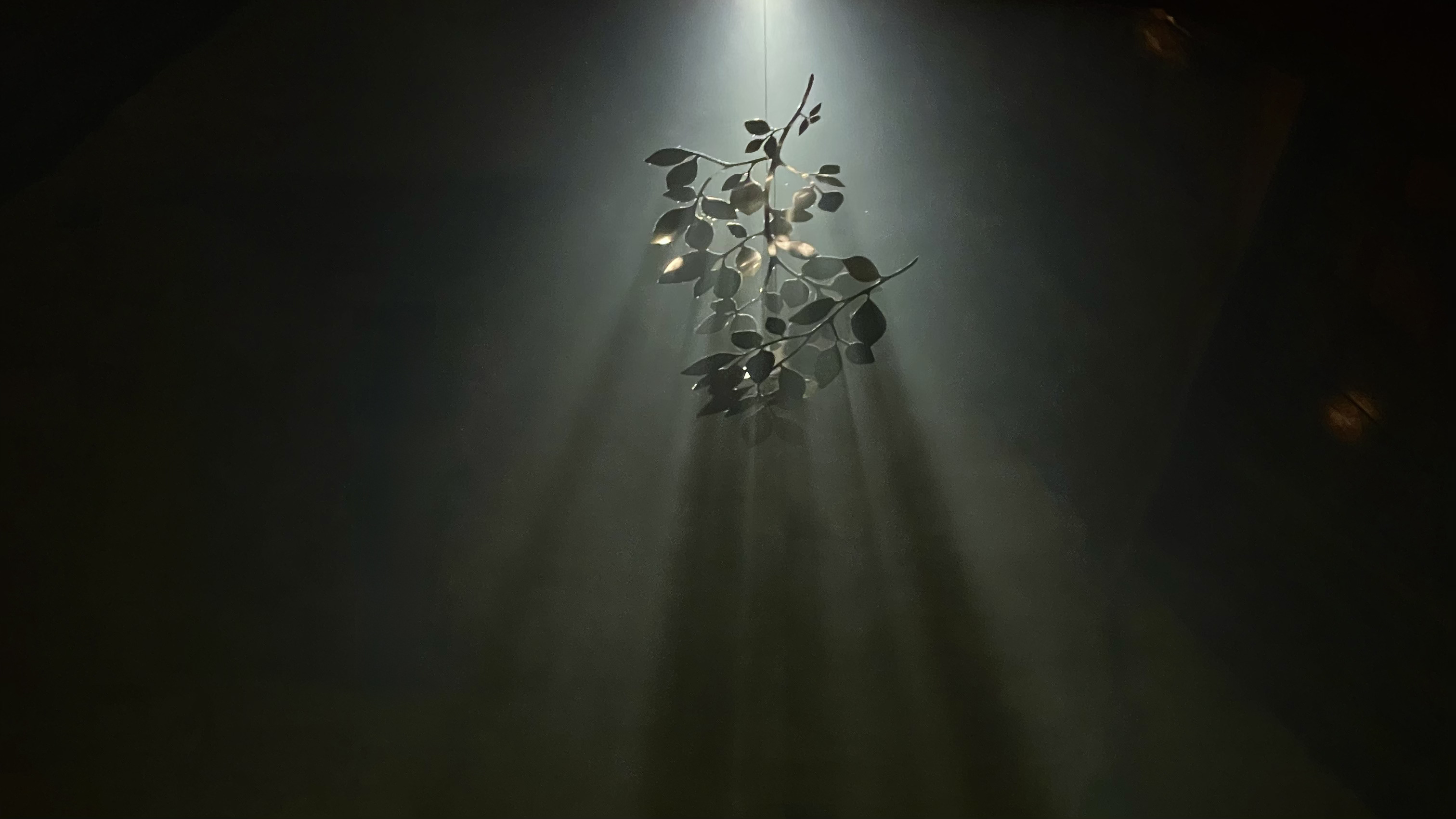 A mirrored mobile catching a shaft of light inside the Forest Cathedral installation
