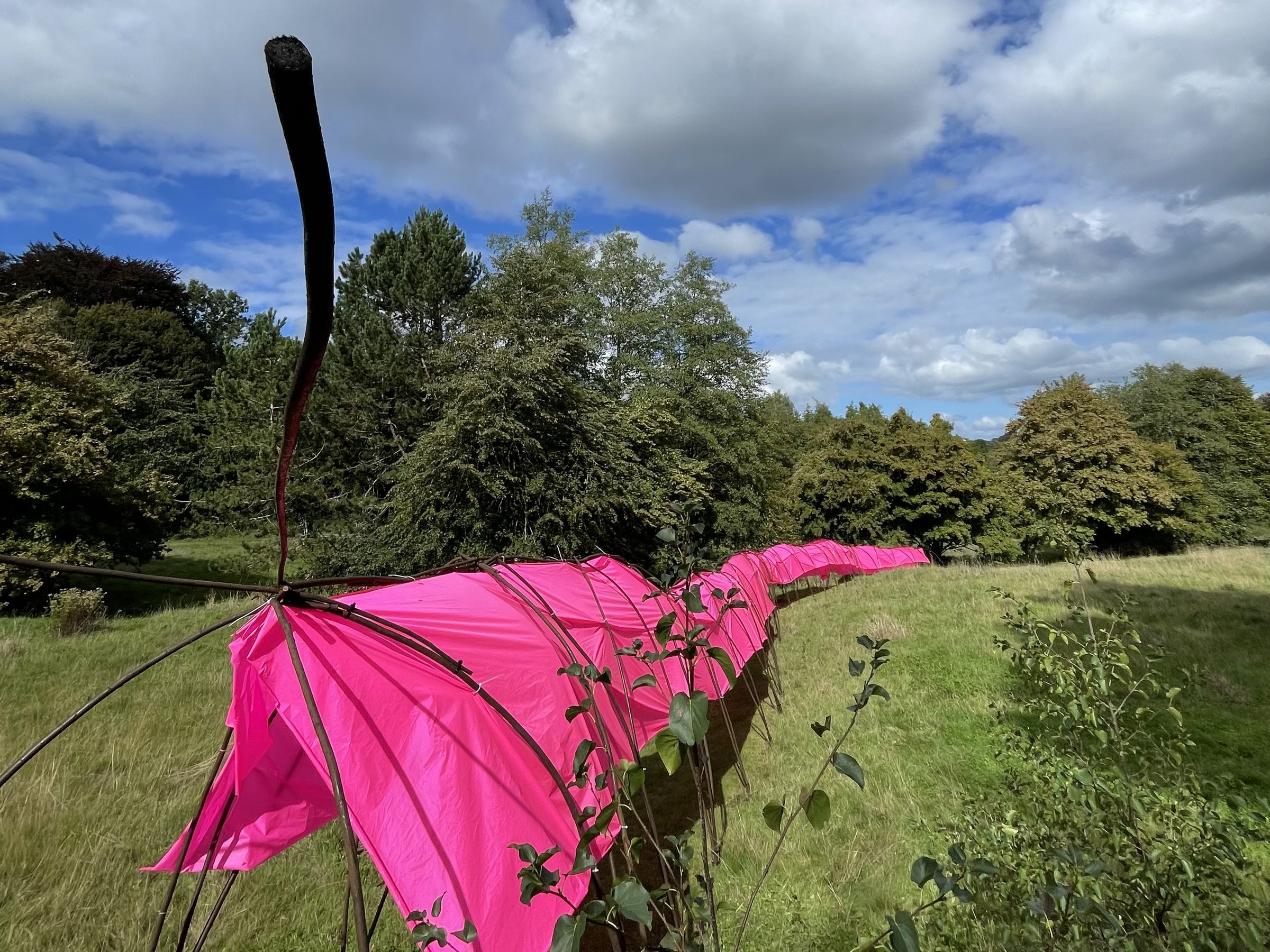 The long pink tunnel of The Big Pink Caterpillar curving away across a grassy slope under a big sky, with the dark willow head of the caterpillar curving up on the left.