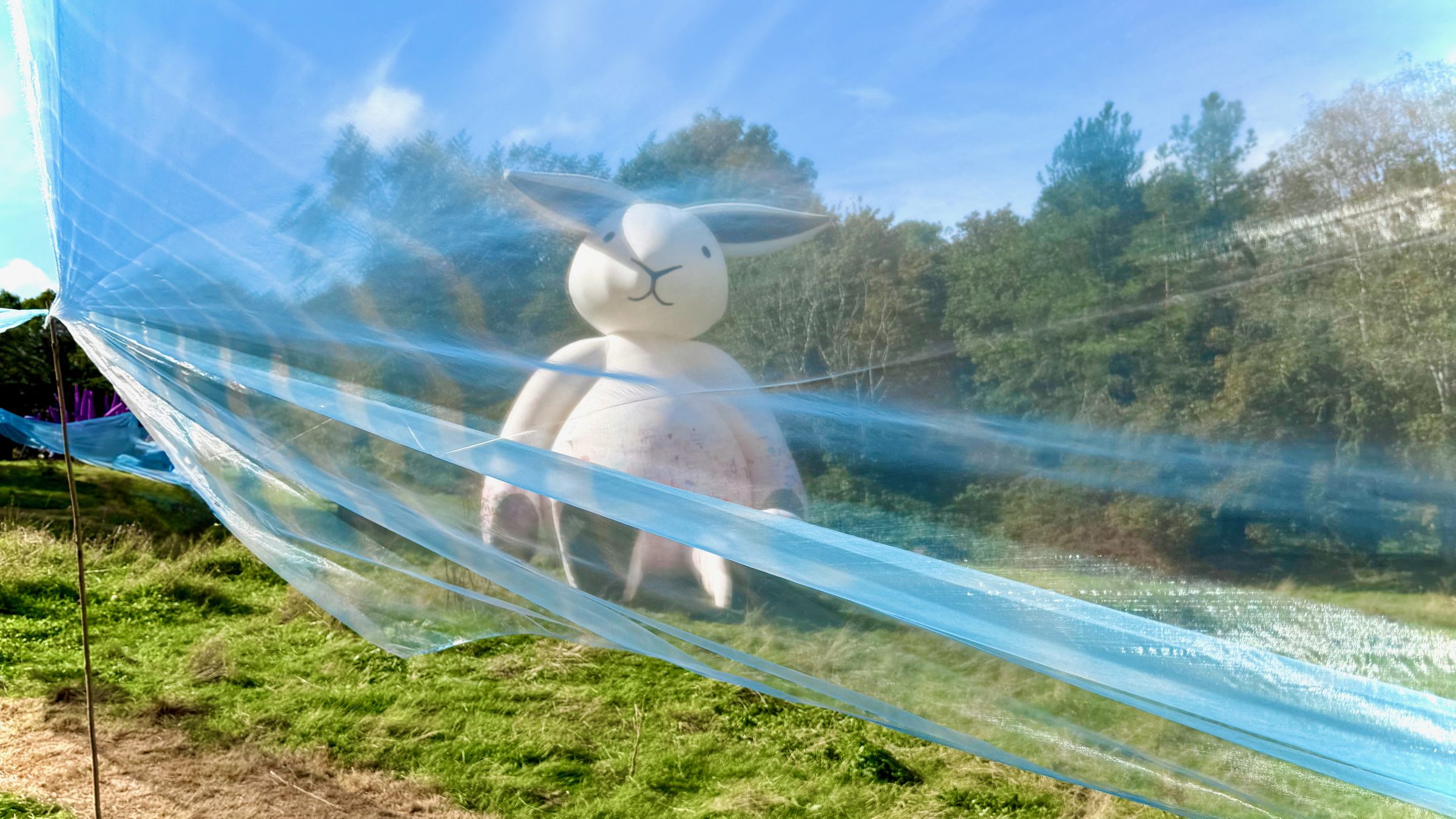 A giant pale rabbit sits on a grassy hillside, seen through sheer blue fabric stretched across the foreground.