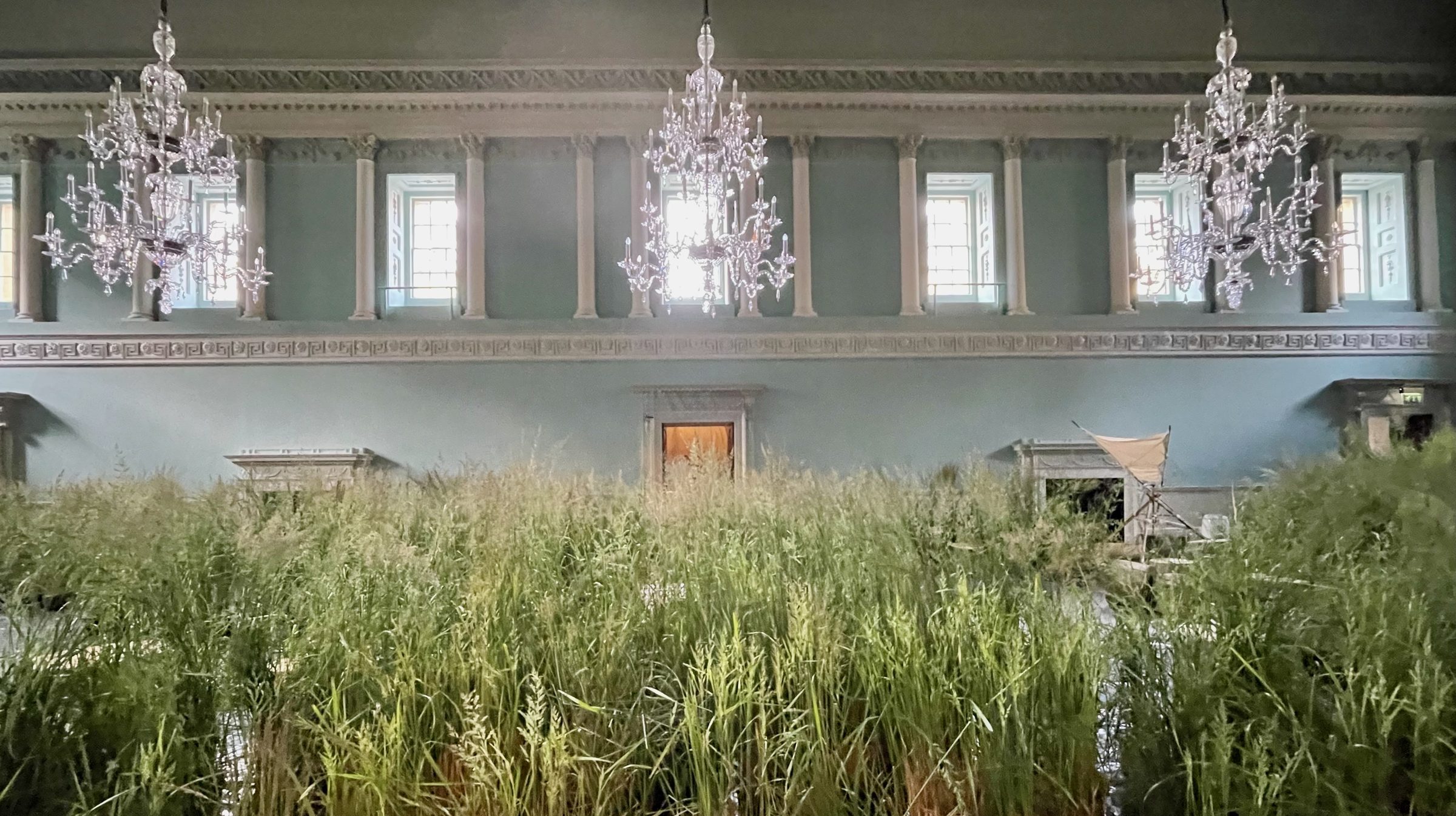 Three chandeliers hang above tall grasses filling the Grand Ballroom of the Bath Assembly Rooms